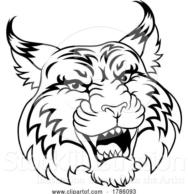 Vector Illustration of Wildcat Angry Wildcats Team Sports Mascot Roaring