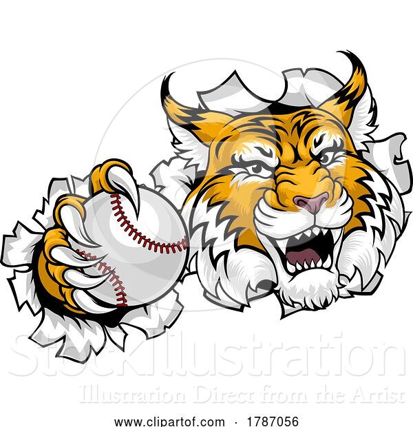 Vector Illustration of Wildcat Bobcat Baseball Ball Animal Team Mascot