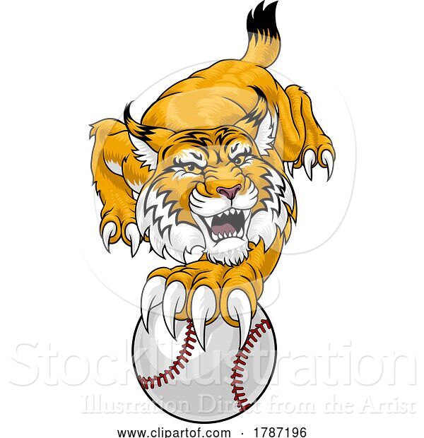 Vector Illustration of Wildcat Bobcat Baseball Ball Animal Team Mascot