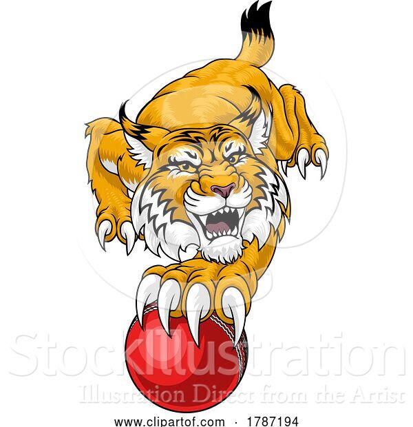 Vector Illustration of Wildcat Bobcat Cricket Ball Animal Team Mascot