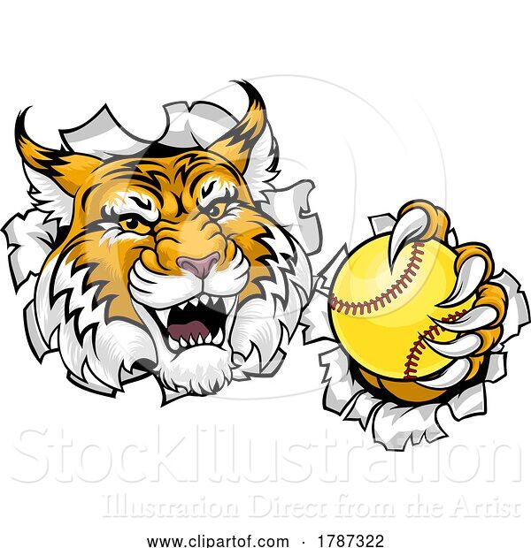 Vector Illustration of Wildcat Bobcat Softball Animal Sports Team Mascot