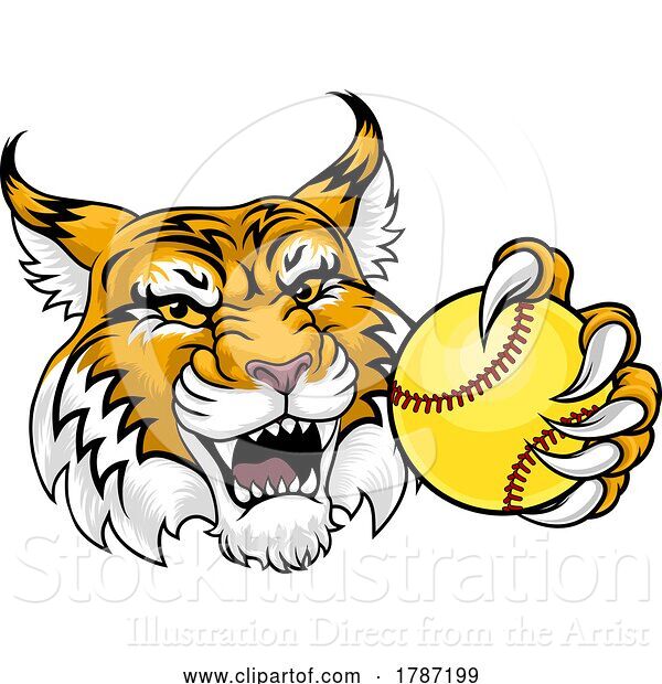 Vector Illustration of Wildcat Bobcat Softball Animal Sports Team Mascot