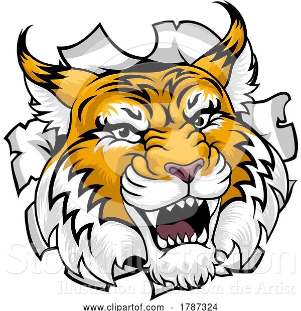 Vector Illustration of Wildcat Bobcat Sports Team Animal Mascot