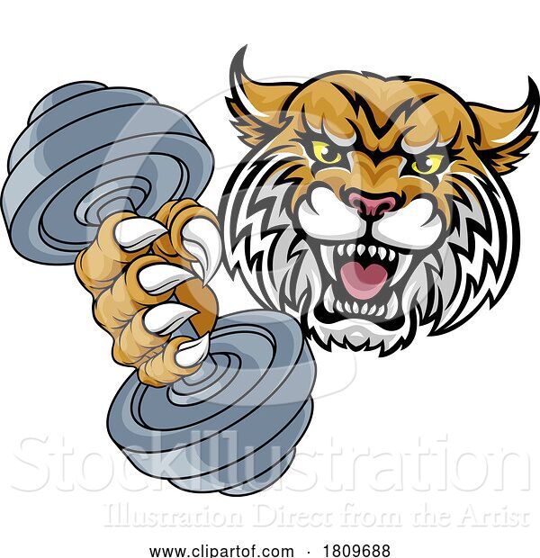 Vector Illustration of Wildcat Cougar Lynx Lion Weight Lifting Gym Mascot