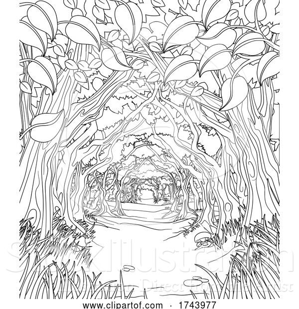 Vector Illustration of Woodland Forest Trees Path Coloring Book Scene