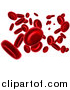 Vector Illustration of 3d Floating Red Blood Cells by AtStockIllustration