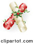 Vector Illustration of 3d Red and White Christmas Crackers with Holly by AtStockIllustration