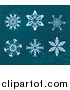 Vector Illustration of 6 Snowflake Designs on Teal by AtStockIllustration