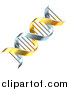 Vector Illustration of a 3d Gold and Silver Dna Double Helix by AtStockIllustration