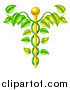 Vector Illustration of a 3d Natural Vine and Gold Staff Caduceus by AtStockIllustration