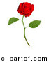 Vector Illustration of a 3d Red Long Stemmed Rose by AtStockIllustration