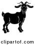 Vector Illustration of a Black and White Chinese Zodiac Goat Ram by AtStockIllustration