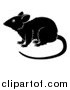 Vector Illustration of a Black and White Chinese Zodiac Rat in Profile by AtStockIllustration