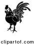 Vector Illustration of a Black and White Chinese Zodiac Rooster by AtStockIllustration