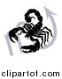 Vector Illustration of a Black and White Horoscope Zodiac Astrology Scorpio Scorpion and Sybmol by AtStockIllustration