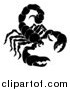 Vector Illustration of a Black and White Horoscope Zodiac Astrology Scorpio Scorpion by AtStockIllustration