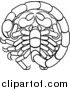 Vector Illustration of a Black and White Lineart Scorpio Scorpion Astrology Zodiac Horoscope by AtStockIllustration