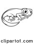 Vector Illustration of a Black and White Newt or Salamander by AtStockIllustration