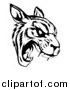 Vector Illustration of a Black and White Roaring Tiger Mascot Head by AtStockIllustration