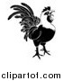 Vector Illustration of a Black and White Rooster Crowing by AtStockIllustration
