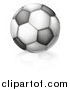 Vector Illustration of a Black and White Soccer Ball and Reflection by AtStockIllustration