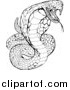 Vector Illustration of a Black and White Striking Venomous Cobra Snake by AtStockIllustration