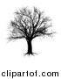 Vector Illustration of a Black Bare Tree Silhouette by AtStockIllustration