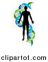 Vector Illustration of a Black Silhoeutted Person in a Blue and Green Double Helix Dna Strand by AtStockIllustration