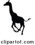 Vector Illustration of a Black Silhouetted Giraffe Running by AtStockIllustration