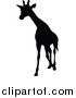 Vector Illustration of a Black Silhouetted Giraffe Walking by AtStockIllustration