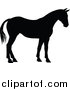 Vector Illustration of a Black Silhouetted Horse Facing Right by AtStockIllustration