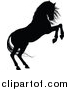 Vector Illustration of a Black Silhouetted Horse Rearing by AtStockIllustration