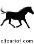 Vector Illustration of a Black Silhouetted Horse Running by AtStockIllustration