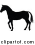Vector Illustration of a Black Silhouetted Horse Walking by AtStockIllustration