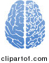 Vector Illustration of a Blue Half Human, Half Artificial Intelligence Circuit Board Brain by AtStockIllustration