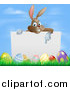 Vector Illustration of a Brown Bunny Pointing to a Sign over Easter Eggs by AtStockIllustration