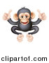 Vector Illustration of a Cartoon Black and Tan Happy Baby Chimpanzee Monkey Giving Two Thumbs up by AtStockIllustration