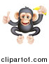 Vector Illustration of a Cartoon Black and Tan Happy Baby Chimpanzee Monkey Holding a Banana and Giving a Thumb up by AtStockIllustration