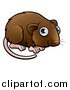 Vector Illustration of a Cartoon Cute Vole by AtStockIllustration