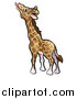 Vector Illustration of a Cartoon Giraffe Reaching with His Tongue by AtStockIllustration