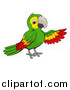 Vector Illustration of a Cartoon Green Macaw Parrot Presenting by AtStockIllustration