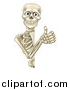 Vector Illustration of a Cartoon Human Skeleton Giving a Thumb up Around a Sign by AtStockIllustration