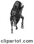 Vector Illustration of a Charging, Jumping or Rearing Black Horse by AtStockIllustration