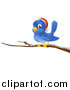 Vector Illustration of a Christmas Bluebird Wearing a Santa Hat and Perched on a Branch with Snow by AtStockIllustration