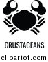 Vector Illustration of a Crab over Crustaceans Text by AtStockIllustration