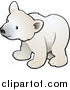 Vector Illustration of a Curious White Arctic Polar Bear Cub (Ursus Maritimus) by AtStockIllustration