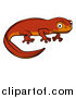 Vector Illustration of a Cute Orange Newt by AtStockIllustration