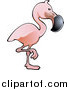Vector Illustration of a Cute Pink Flamingo Bird with a Black Beak, Standing on One Leg by AtStockIllustration