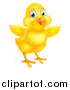 Vector Illustration of a Cute Yellow Easter Chick Facing Slightly Right and Flapping Its Wings by AtStockIllustration
