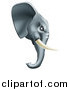 Vector Illustration of a Fierce Elephant Mascot Head in Profile by AtStockIllustration